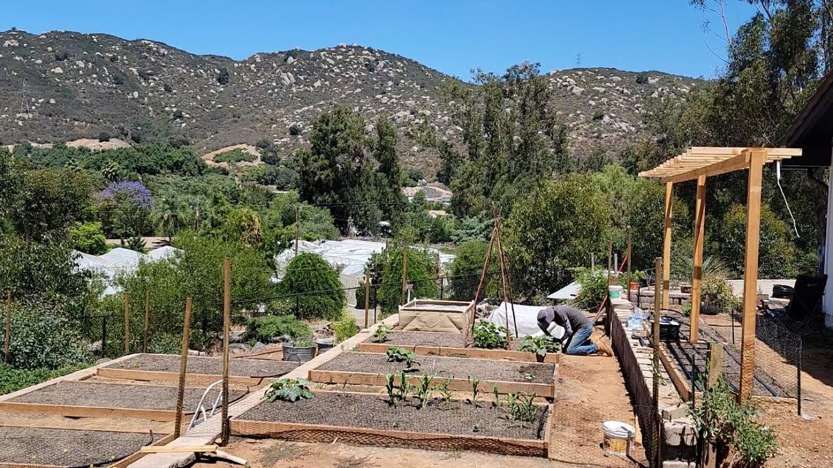 Installing Drip Tape in the New Vegetable Garden