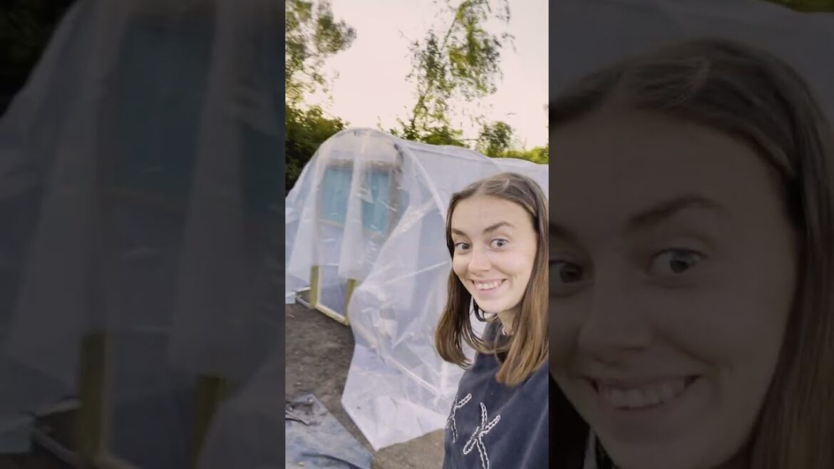 The Truth About Our Polytunnel On The Homestead #vegetablegarden #gardening #homestead