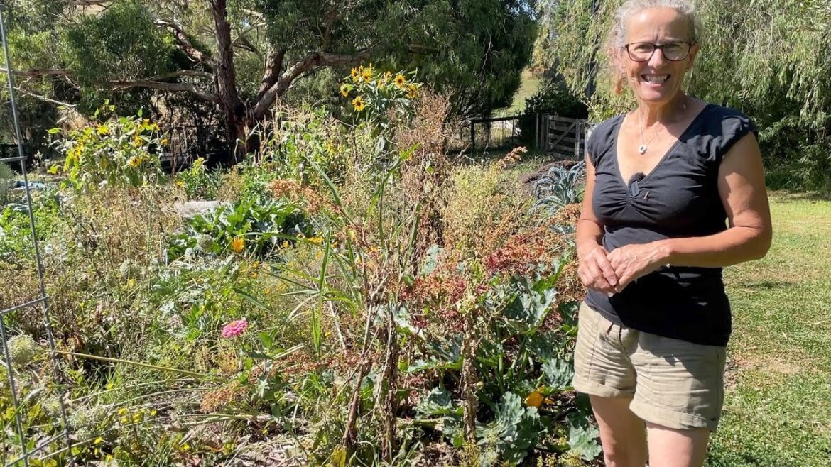 Clearing and Planting in my Permaculture Vegetable Garden