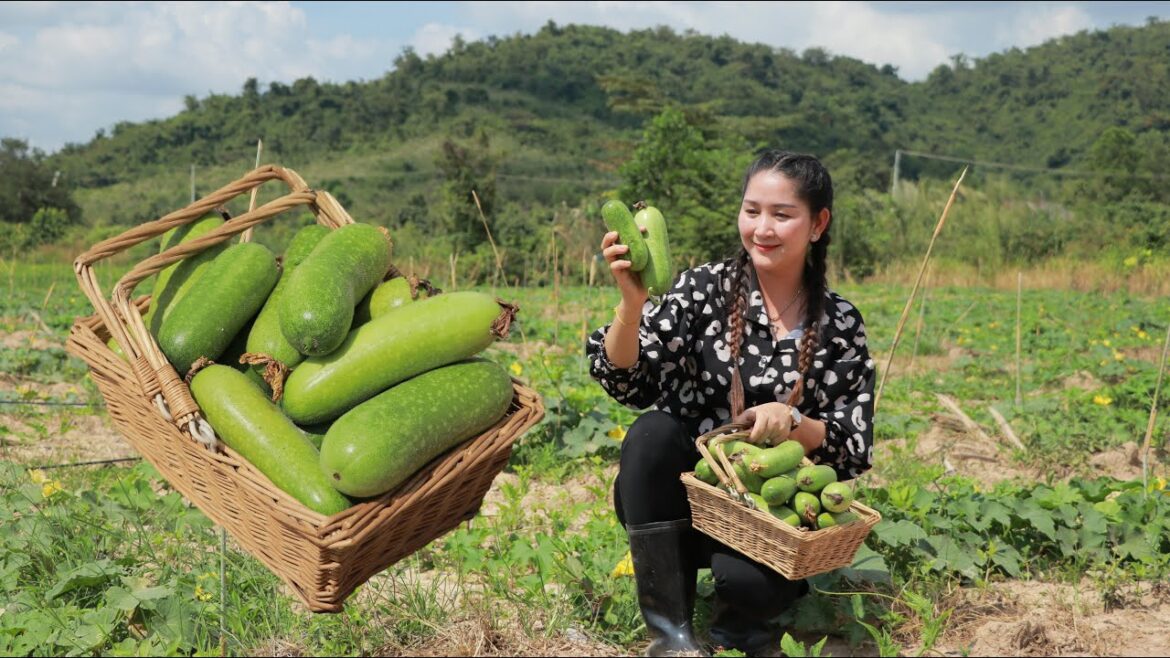 Sweet Wax Gourd Stew for my brother after Vegetable garden preparing | House Work with Food Cook