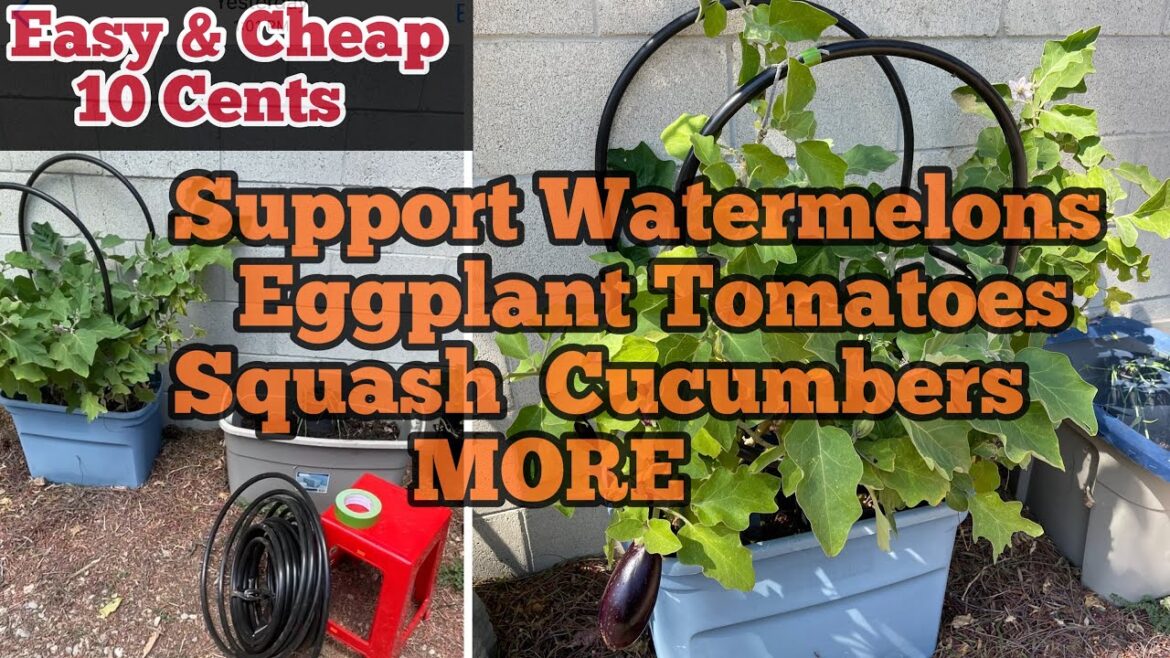 EASY Support for Tomato Eggplant Squash Watermelon Trellis Vegetable Garden Container Gardening EASY Support for Tomato Eggplant Squash Watermelon Trellis Vegetable Garden Container Gardening
