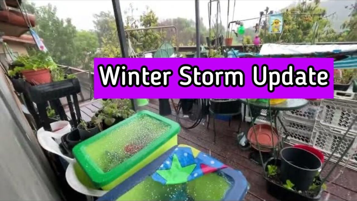 Winter Storm Hail High Winds Rain Update on Vegetable Garden & Feeding Hummingbirds Bird Feeder Winter Storm Hail High Winds Rain Update on Vegetable Garden & Feeding Hummingbirds Bird Feeder