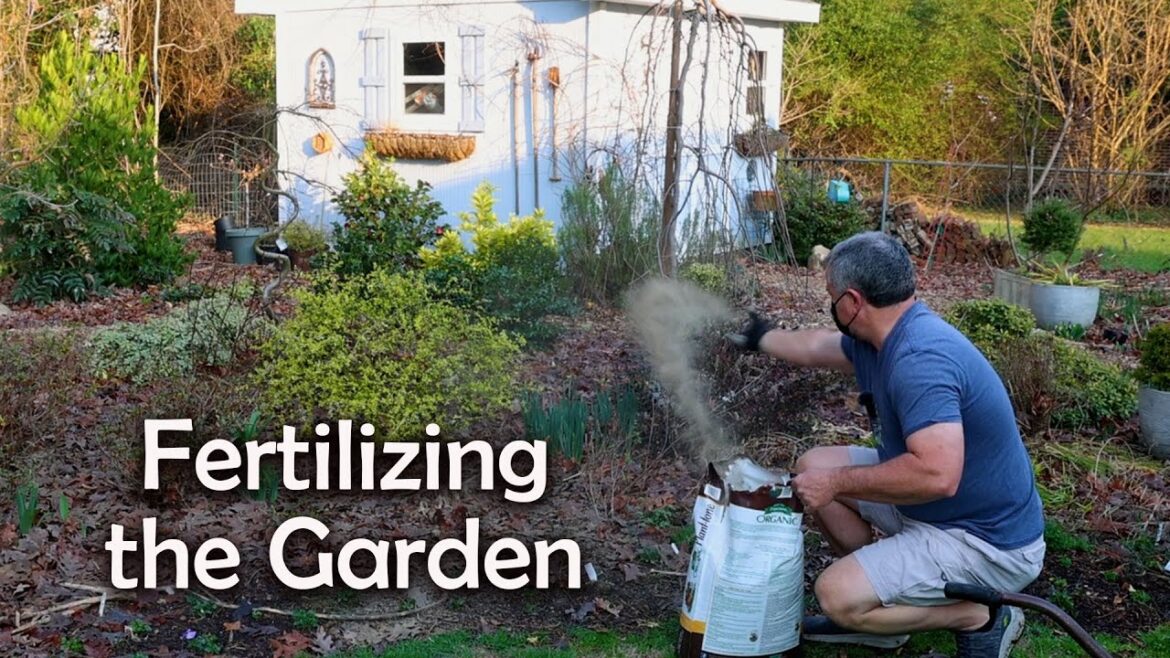 Fertilizing the Garden Fertilizing the Garden