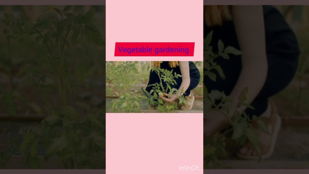 Leafy Vegetable Gardening #shorts #farming #spinach