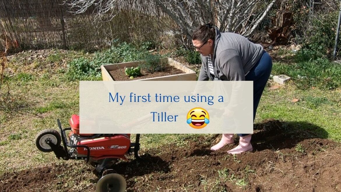 Using a Tiller to Remove Grass for a Vegetable Garden; New Bed Pt 1 Using a Tiller to Remove Grass for a Vegetable Garden; New Bed Pt 1