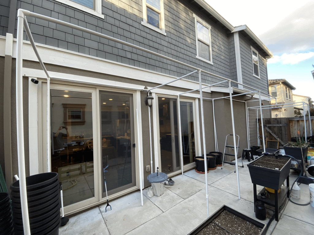 Growing tomatoes vertically - PVC structure updated for 2023