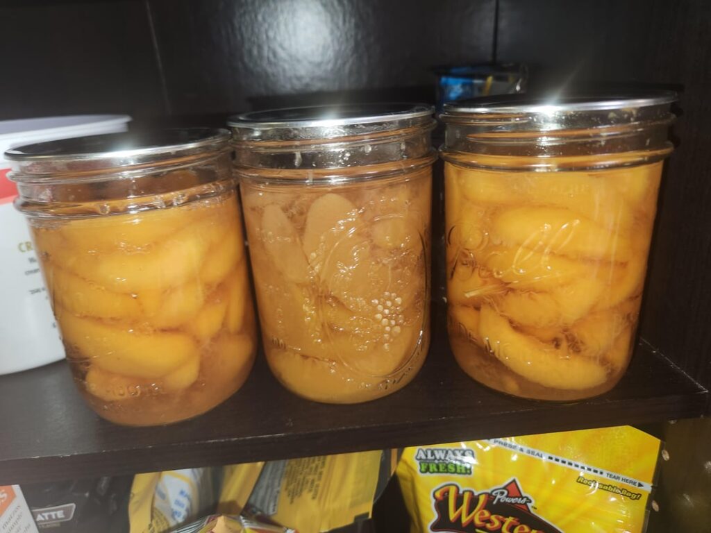 Odd Nectarine jar from large batch of canning