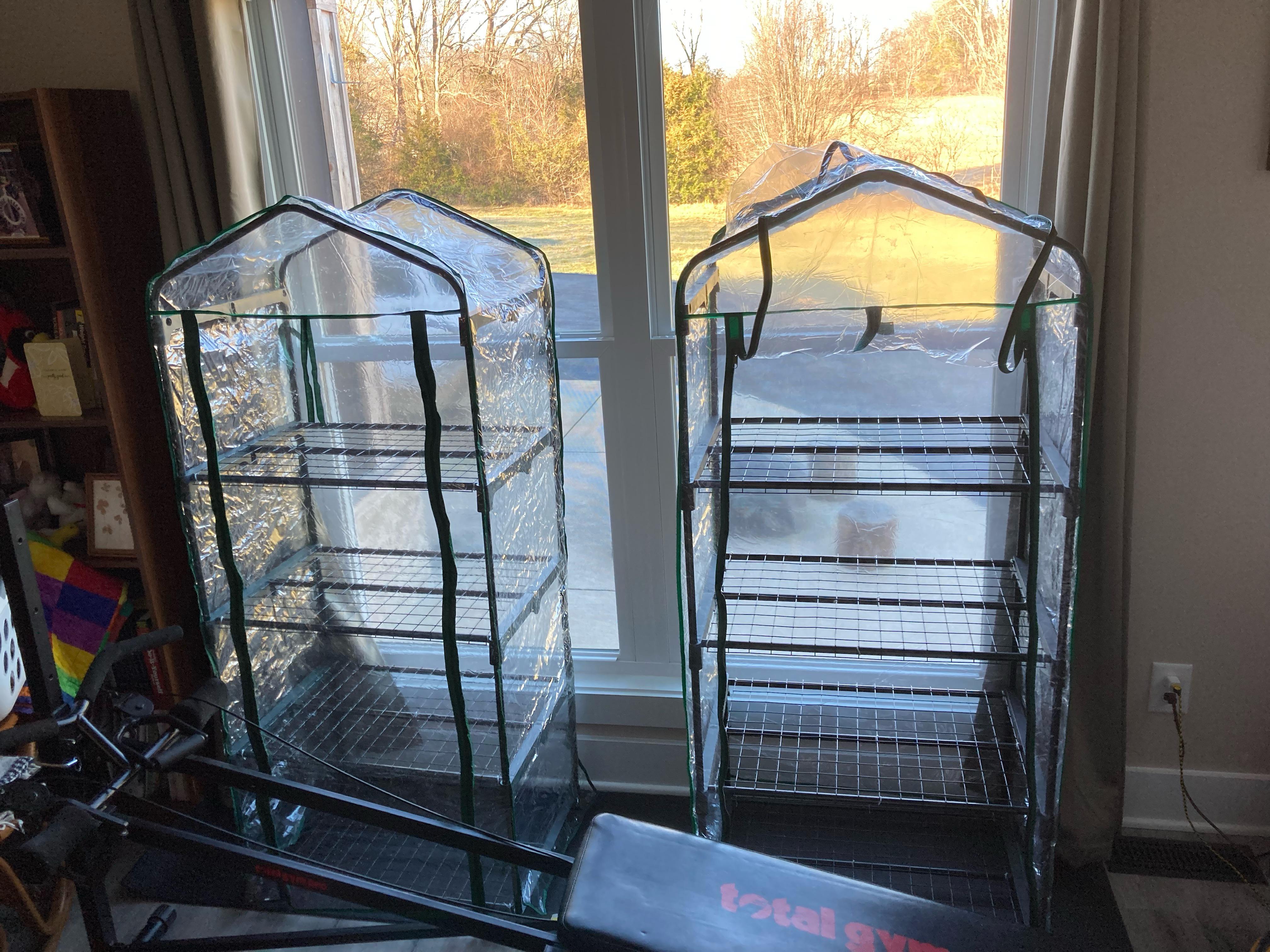 Inside greenhouse Dining and Cooking