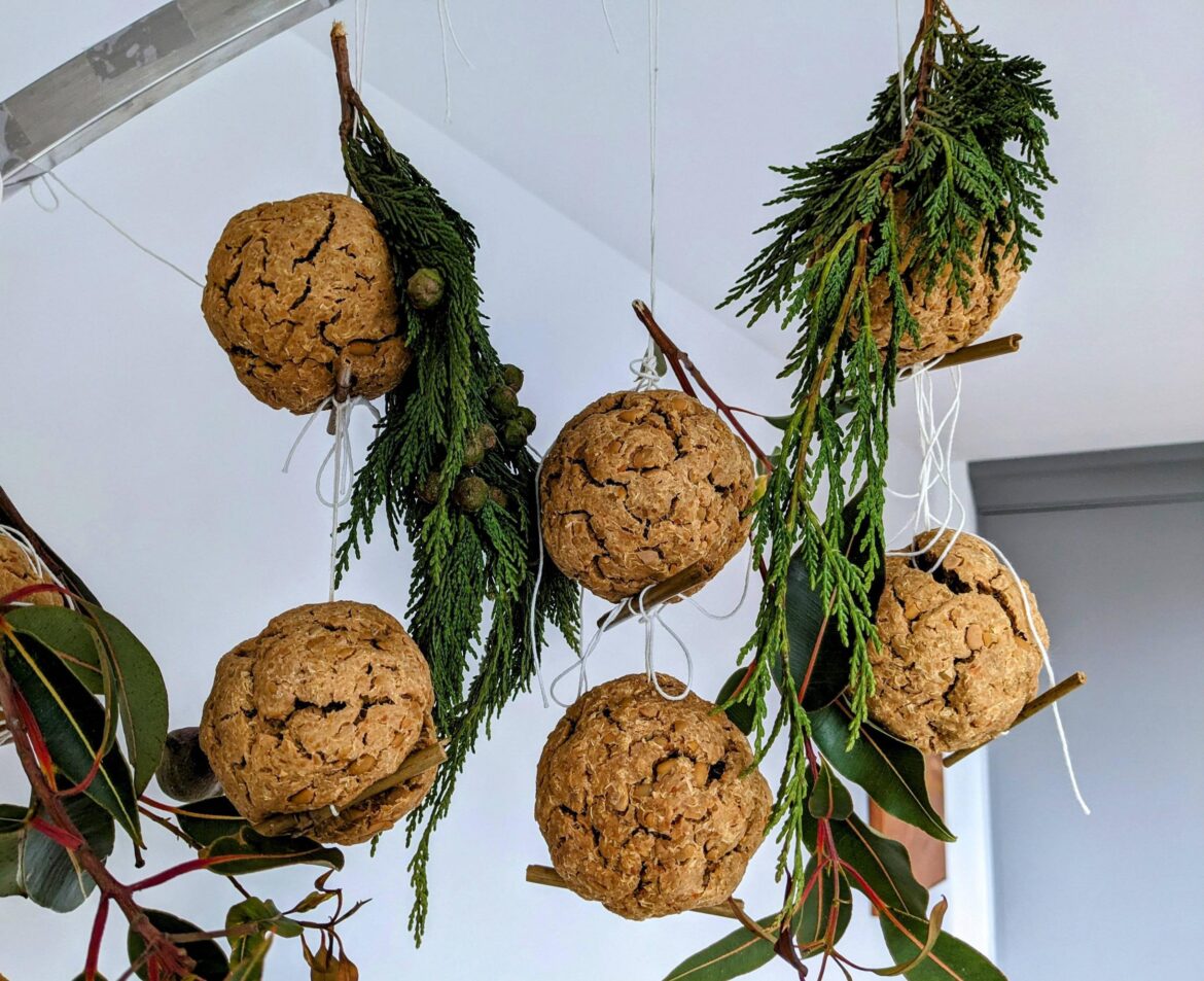 Doengjang balls are almost dry