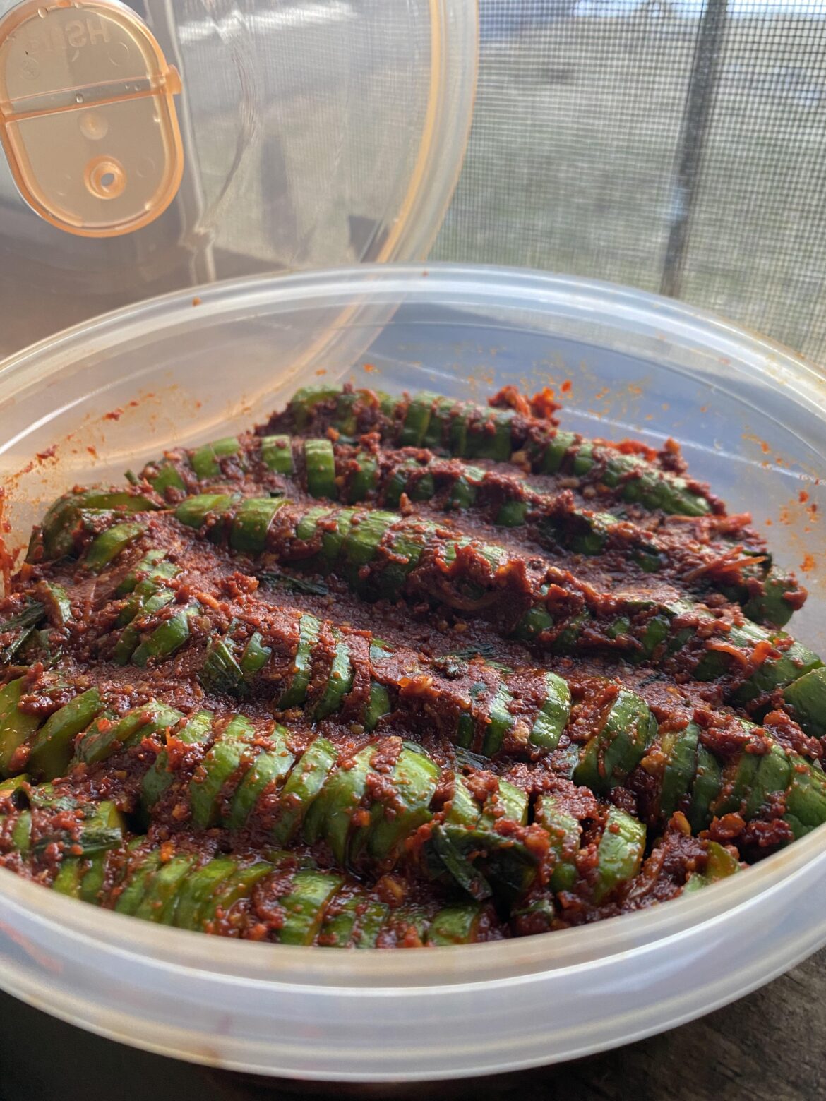 Cucumber Kimchi for a coworker 🔥