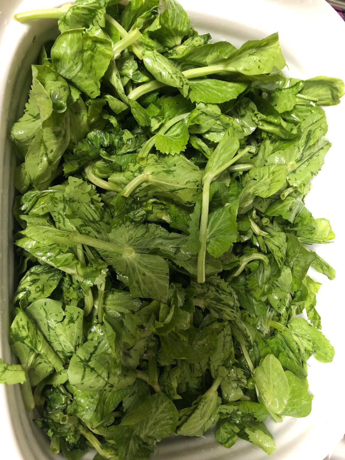 Please Help me identify this type of green?