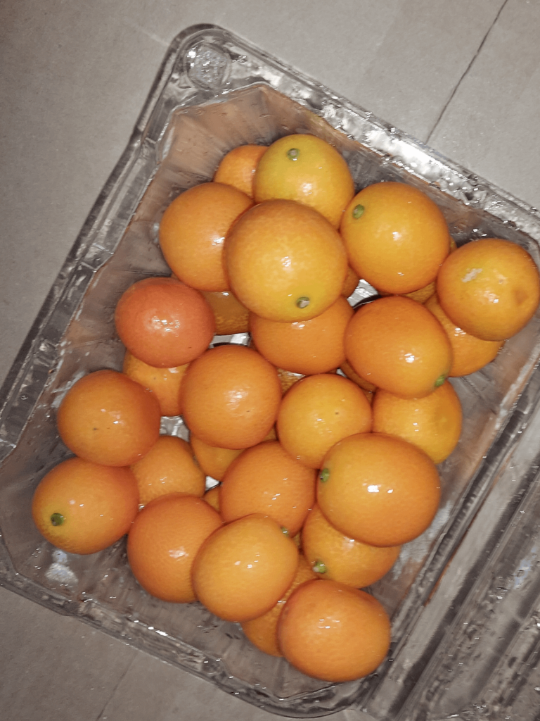 korean sour orange