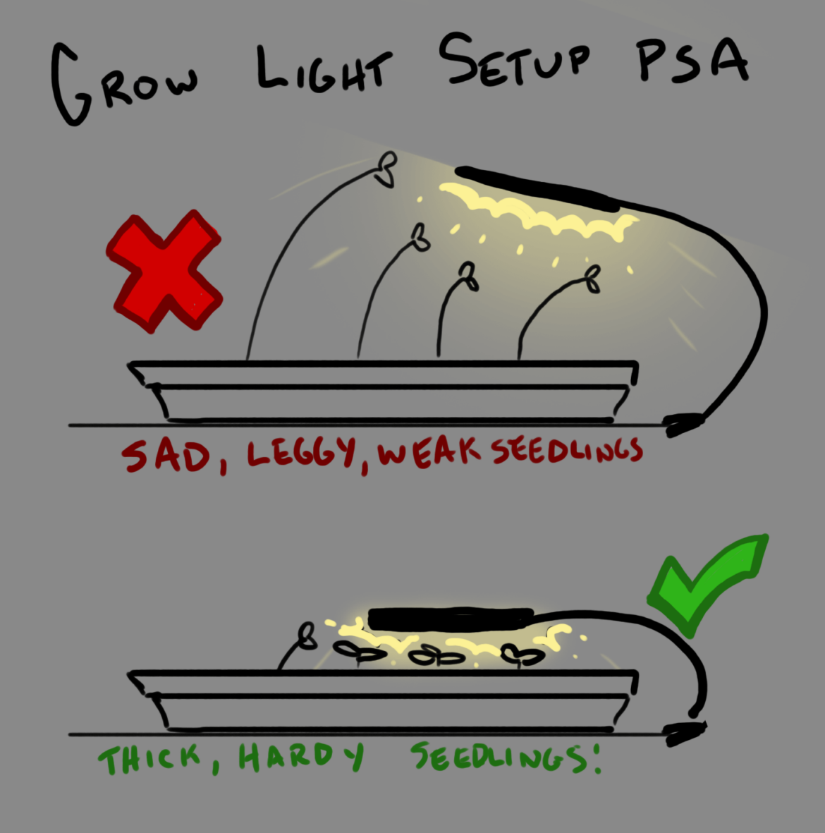 Lots of Amazon LED grow lights for seed starters. I offer a handy PSA. (xpost from r/gardening)