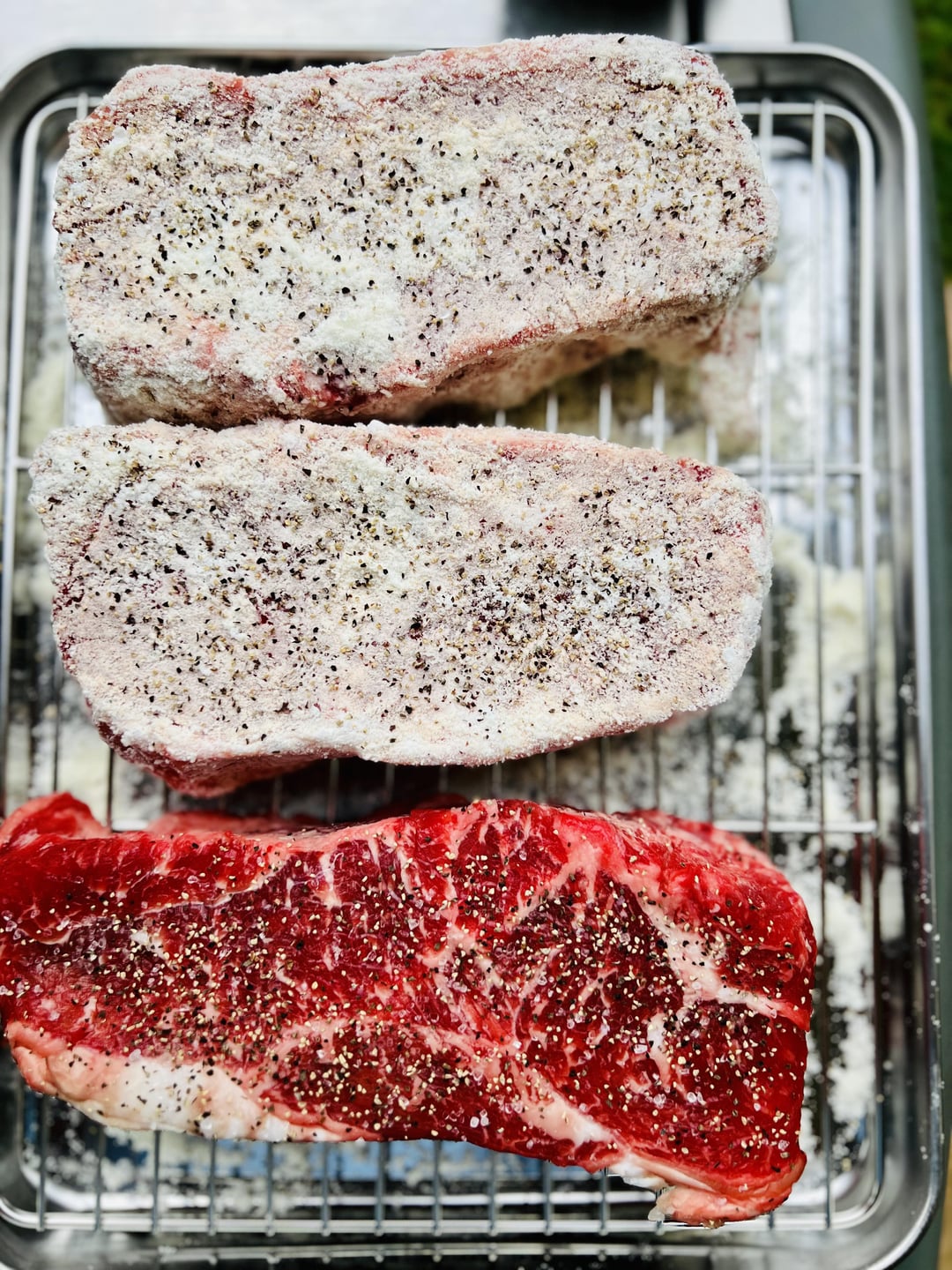 Tried the Powdered Whole Milk Steak VS a Control Steak. It’s worth a