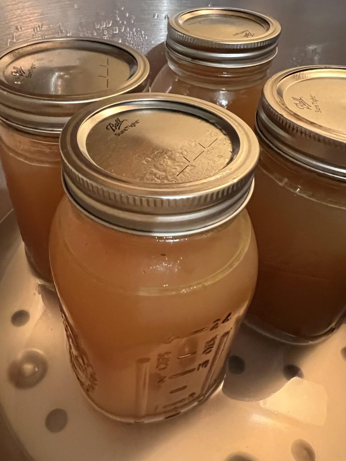 What did I do wrong? Lost a half inch of liquid. Used warm jars (in a hot sink filled with hot water, with hot water in them) and boiling liquid. Turned the heat off and let it depressurize, took weight off for another 15 before opening.