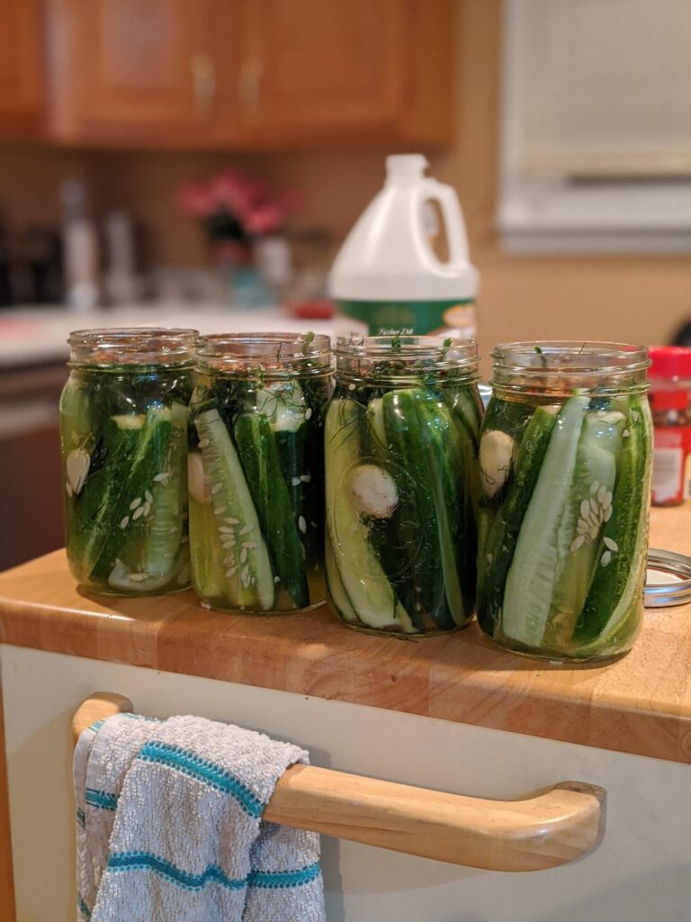 Homemade Canned Pickles(2020)