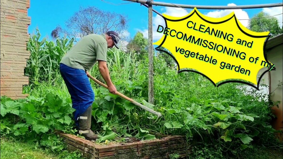 Transformation part. 2 | REMOVING and CLEANING my vegetable garden Transformation part. 2 | REMOVING and CLEANING my vegetable garden