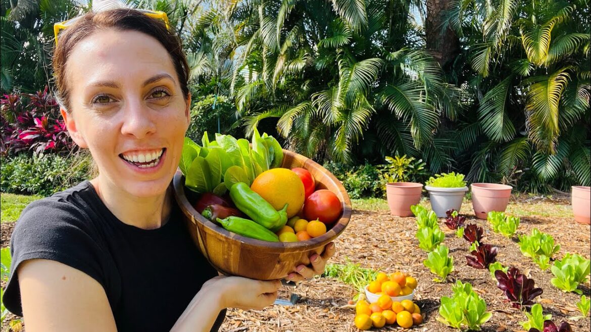 The Best Veggies for your March Florida Vegetable Garden!