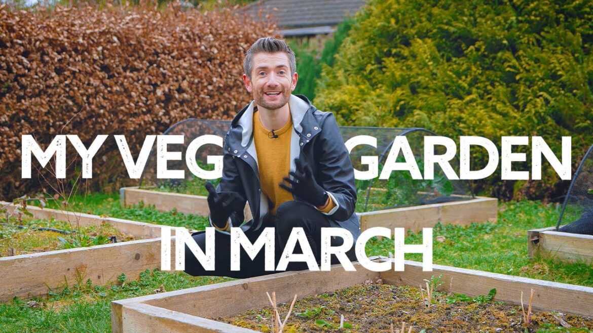 March Vegetable Garden Tour | What's Growing Now!