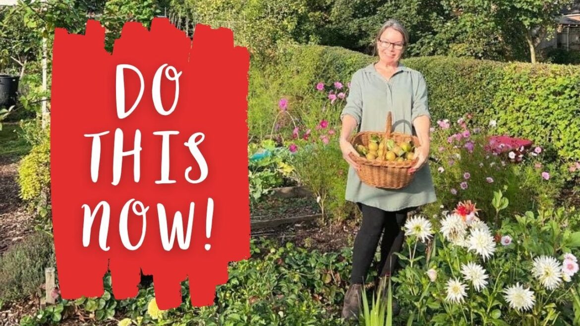 WANT AN ABUNDANT VEGETABLE GARDEN? GROW FLOWERS!