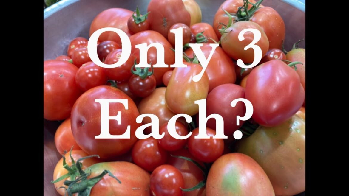 Vegetable Rations in the UK! Let’s get to growing our own folks!