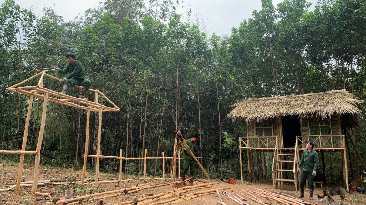 Make a fence vegetable garden frame, solid wooden welcome gate, Build daily life