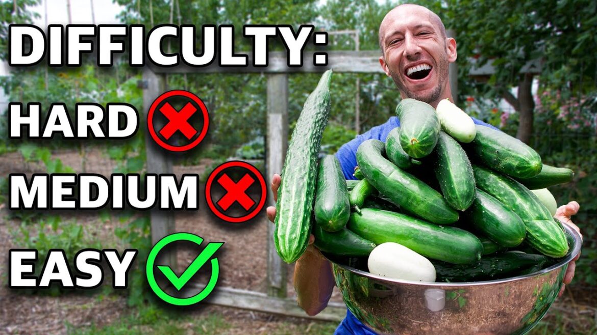 10 Crop Varieties to ALWAYS BE GROWING, Garden on Easy Mode!