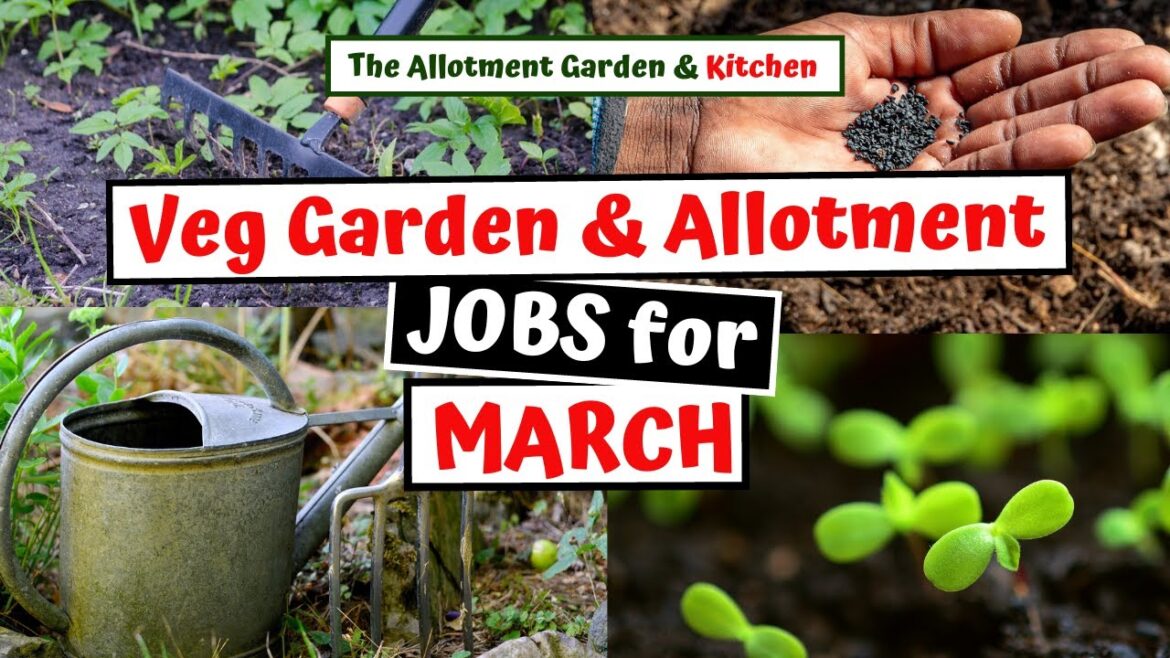 Preparing the Vegetable Garden/Allotment in March - Jobs to help with a Successful Harvest #98