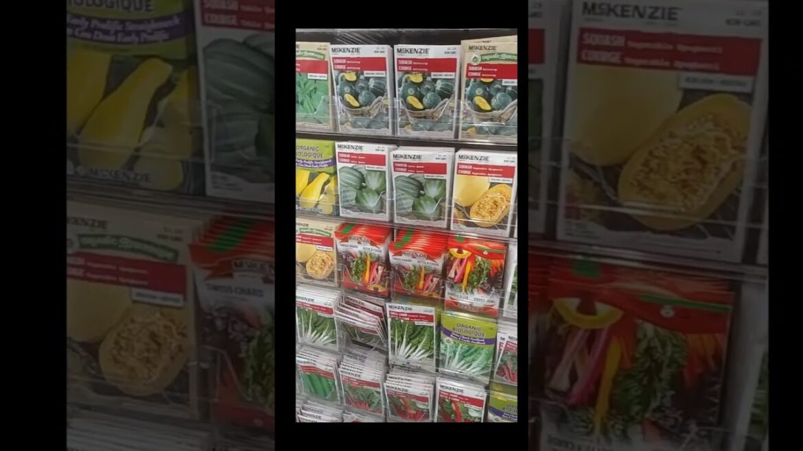 Starting a Vegetable Garden from Seed Ontario Canada Step 1