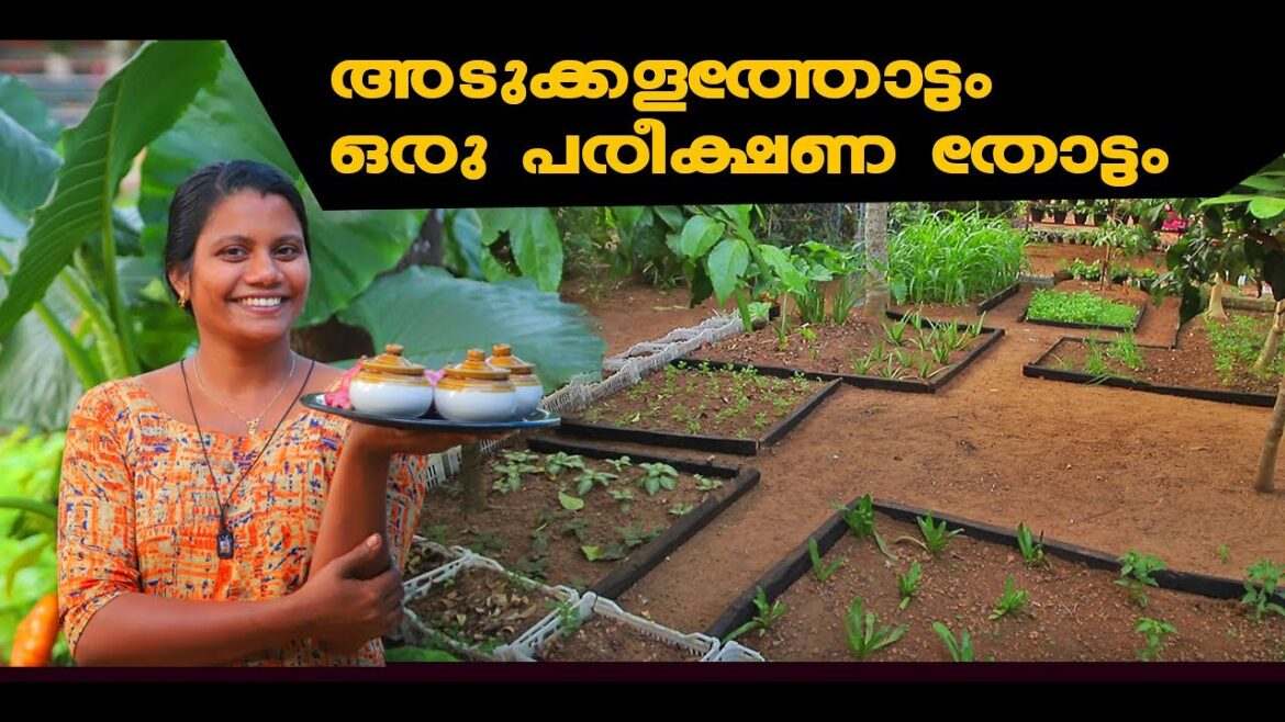 വരൂ കൂട്ടുകാരെ  മുറ്റം  നമുക്ക് മനോഹരമാക്കാം #vegetable garden