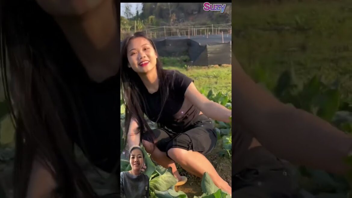 vegetable garden #shorts