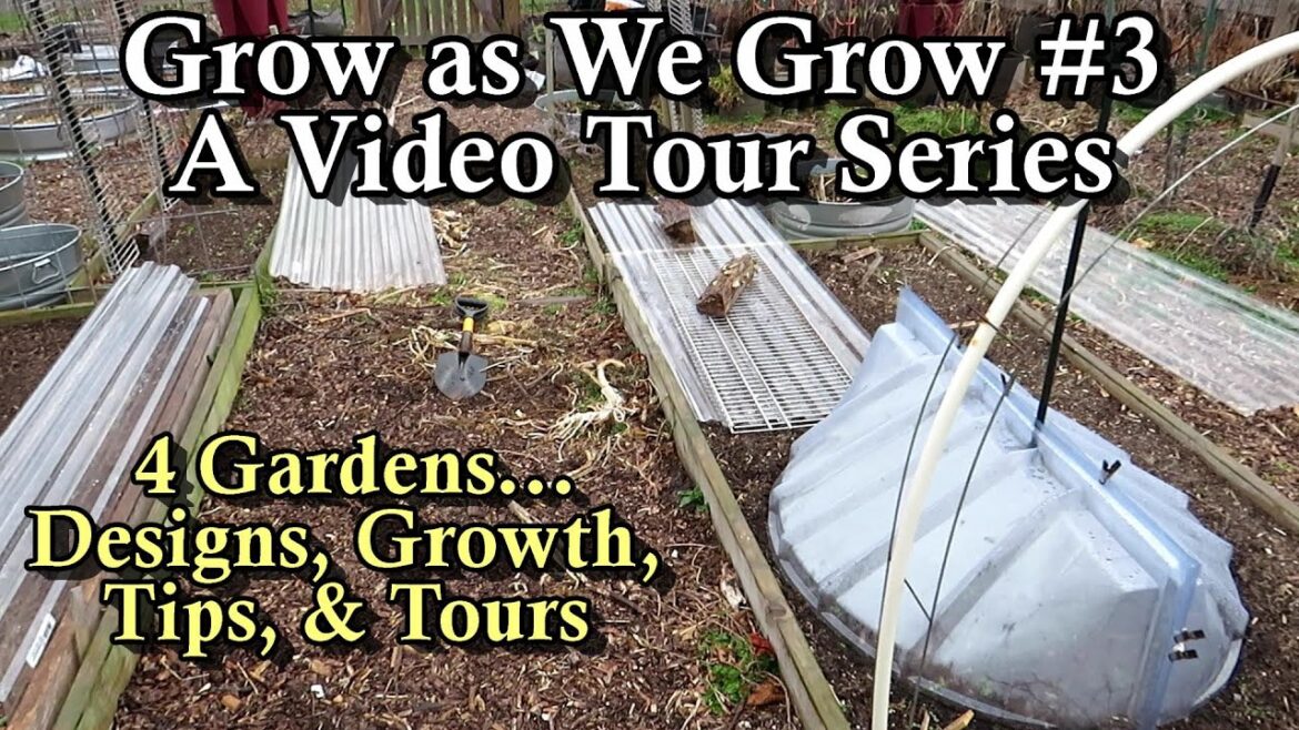 Grow as We Grow #3 Garden Ideas, Tips & Tour Series: What's Growing in My Garden & Member's Gardens