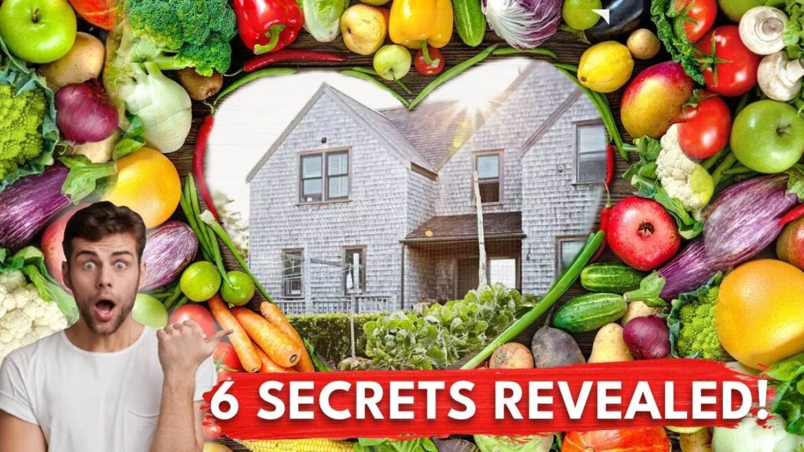 The Ultimate Guide to Starting Your First Vegetable Garden: 6 Secrets Revealed The Ultimate Guide to Starting Your First Vegetable Garden: 6 Secrets Revealed