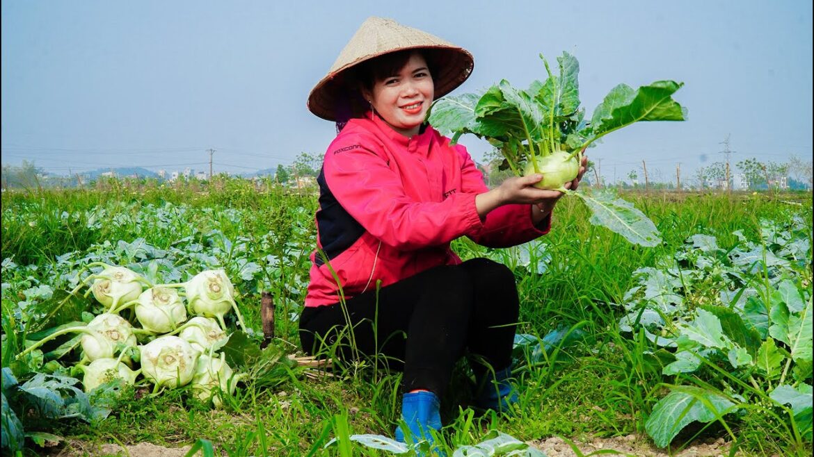 Harvest Vegetable Garden, Chicken Eggs Bring to Market for Sale - Duck and Pig Care | Free New Life
