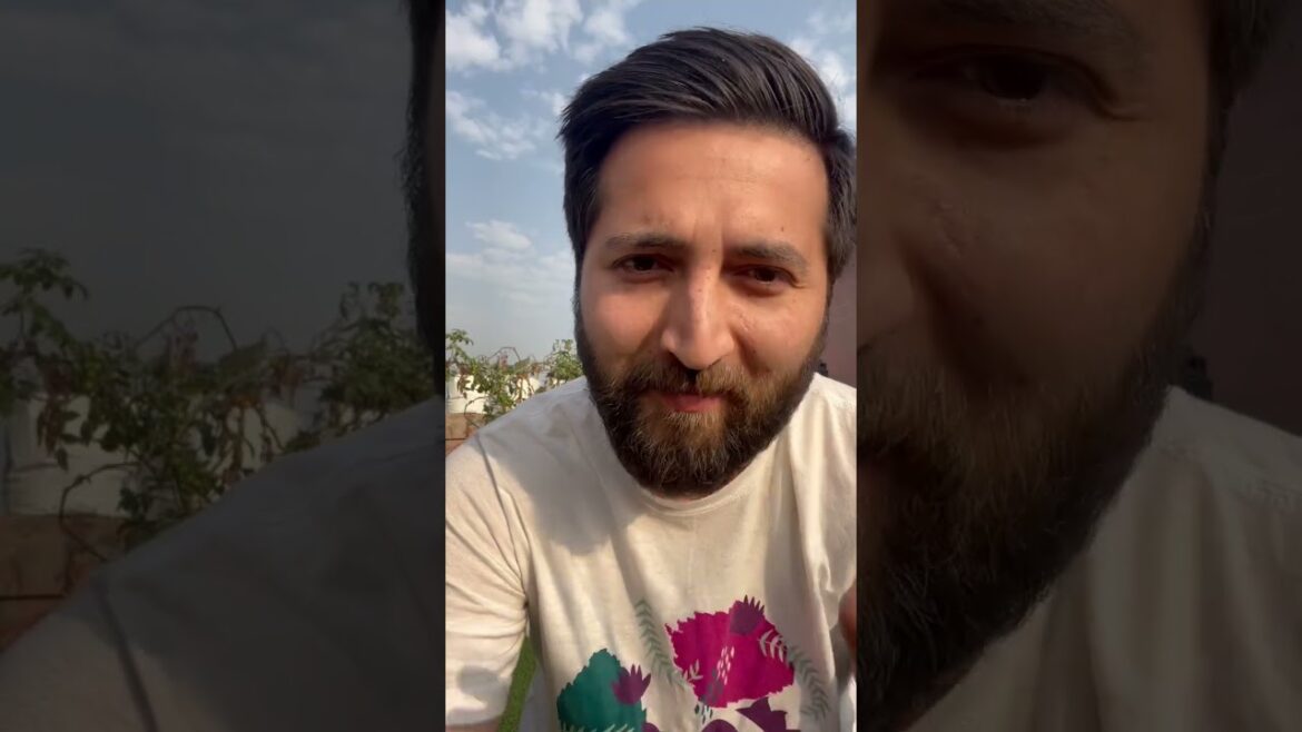 Setting up the summer vegetable garden #terracegarden #vegetablegarden #organic #summer