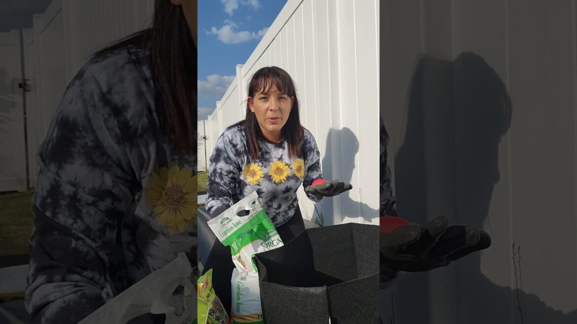 How to grow potatoes in grow bags #potato #howtogrowpotato #growbags #garden #vegetablegarden #grow