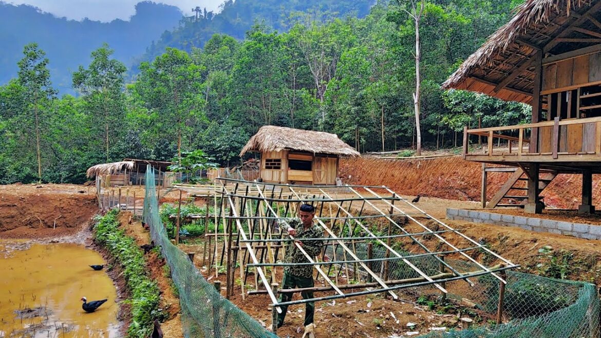 Renovating the vegetable garden, taking care of pets, farm life, Day 132