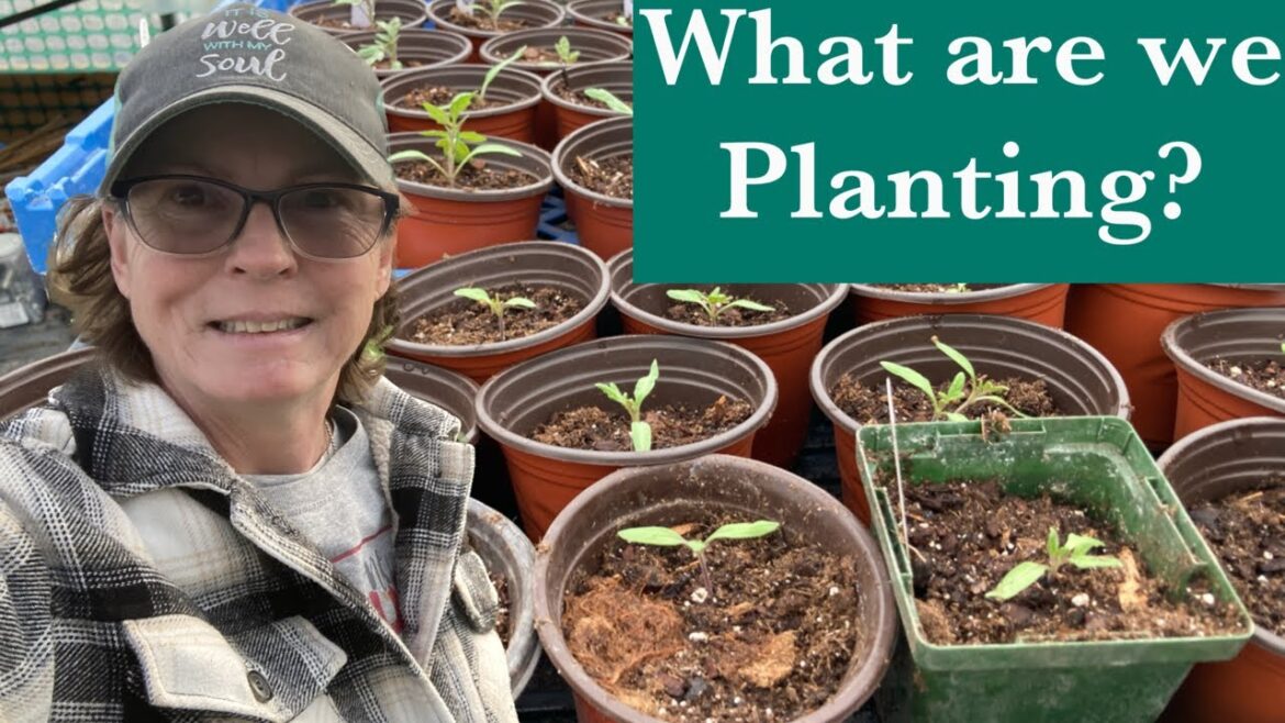 What Veggies Are you Growing? Close call last night!