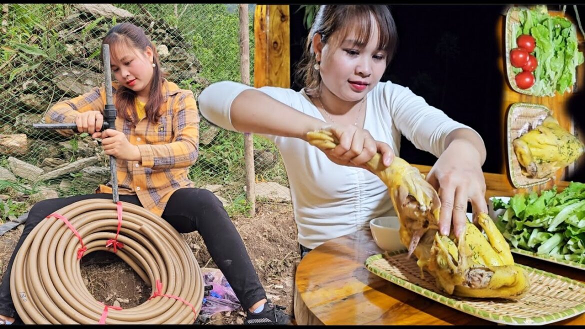 Install a watering system for the vegetable garden. Dinner with boiled chicken. peaceful life Install a watering system for the vegetable garden. Dinner with boiled chicken. peaceful life