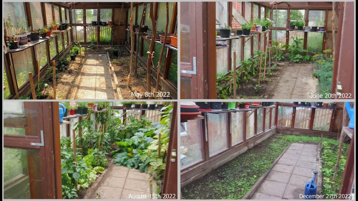 Off Grid Living – Dad’s Huge Vegetable Garden (through the Seasons) Off Grid Living - Dad's Huge Vegetable Garden (through the Seasons)