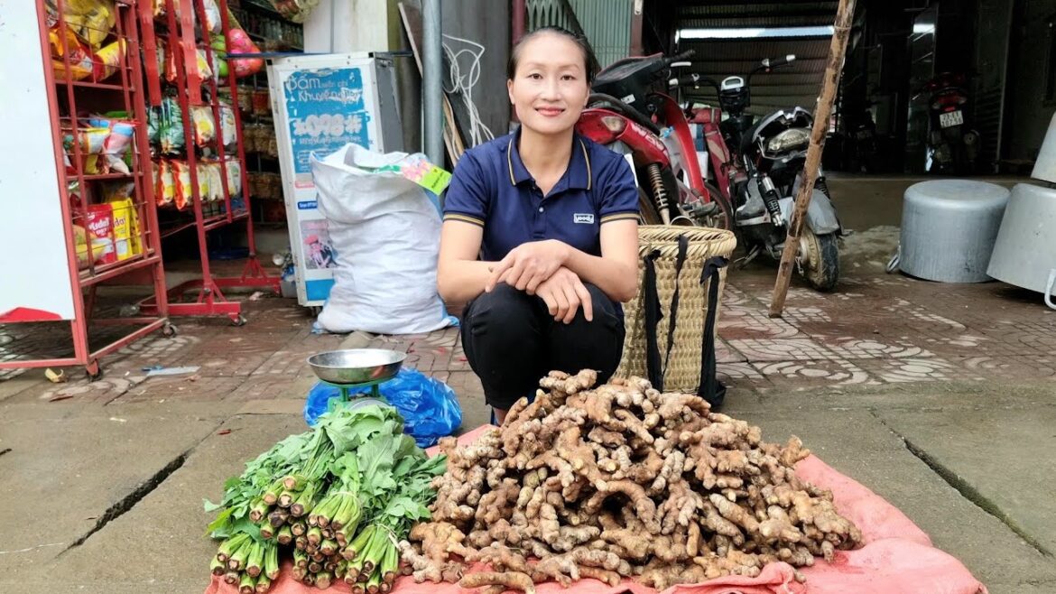 Ginger Growing Process | Harvest Ginger & Vegetable Garden Goes to the market sell | Ly Thi Tam
