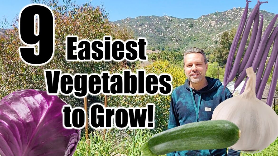 9 Easiest Vegetables to Grow 9 Easiest Vegetables to Grow