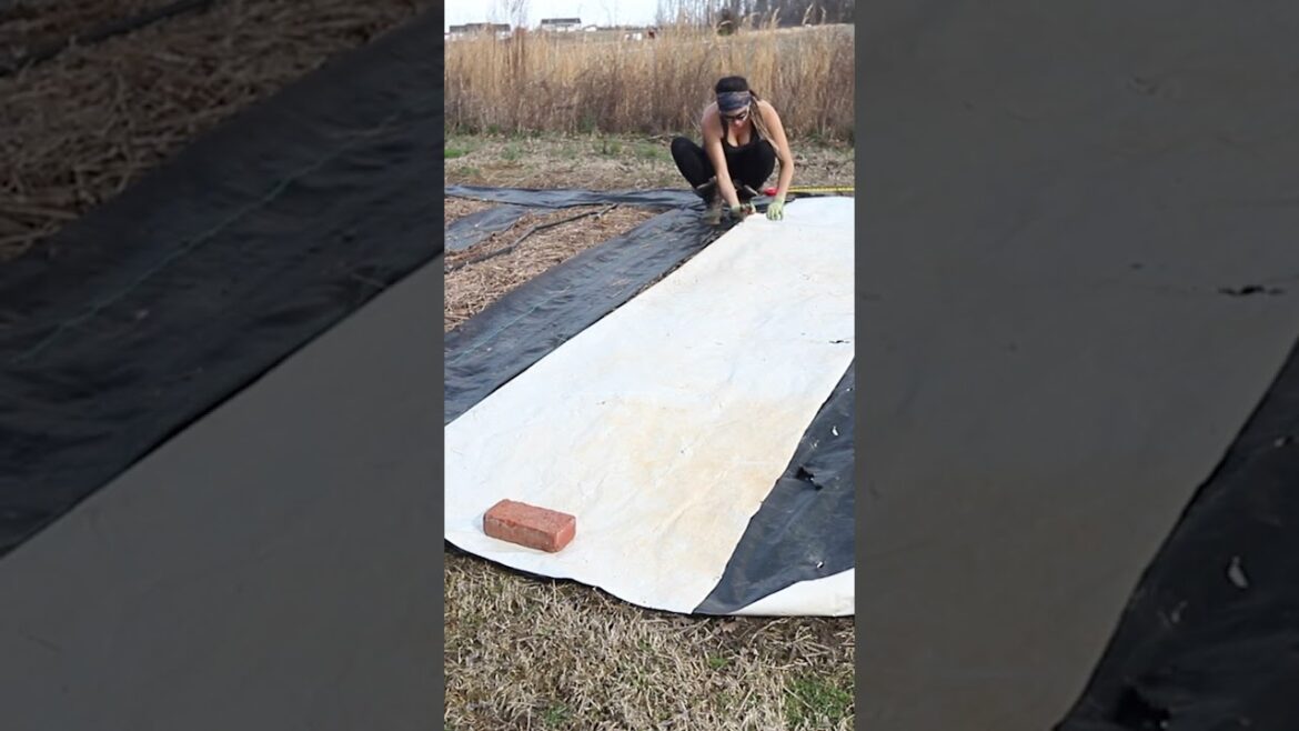 Less Weeds in my Vegetable garden!