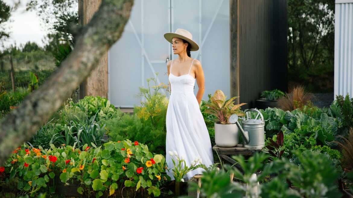 YEAR TWO: Living Off Grid & Growing a Vegetable Garden YEAR TWO: Living Off Grid & Growing a Vegetable Garden