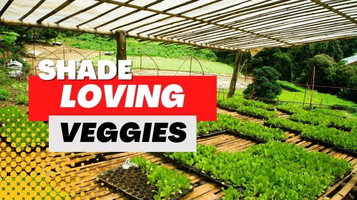The Best Plants for a Shade Vegetable Garden