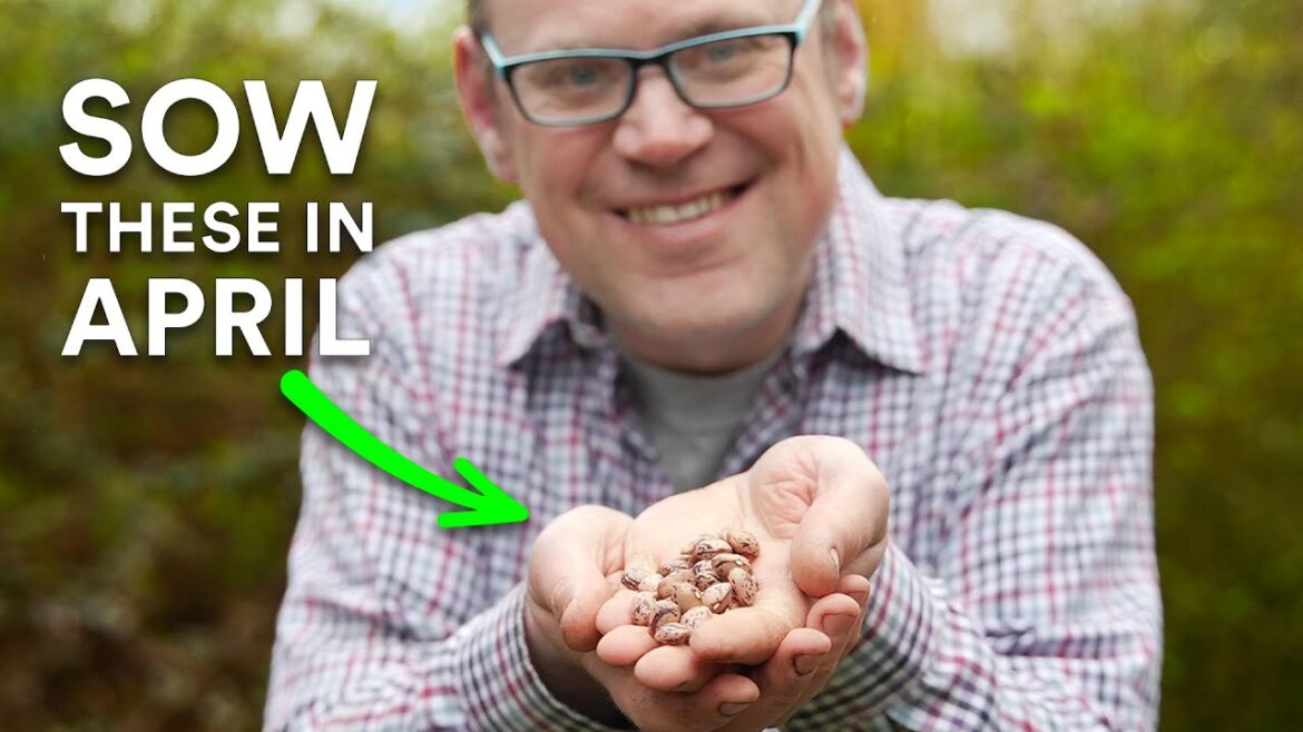 You Must Sow These Seeds in April