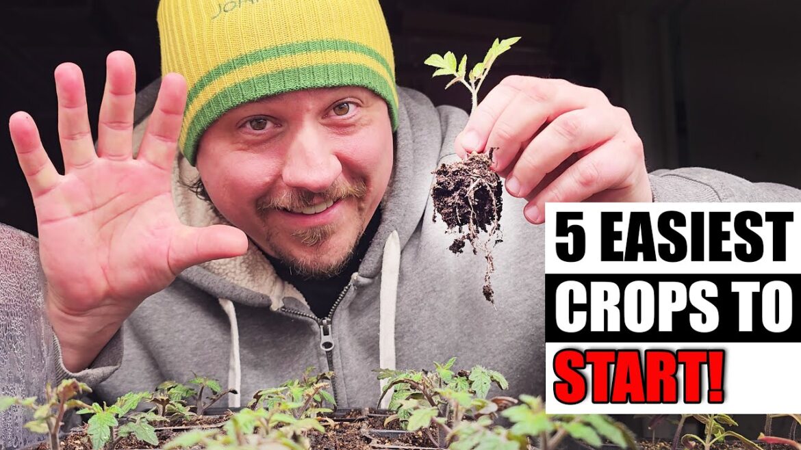 5 Easiest Crops To Start Early – Garden Quickie Episode 131 5 Easiest Crops To Start Early - Garden Quickie Episode 131