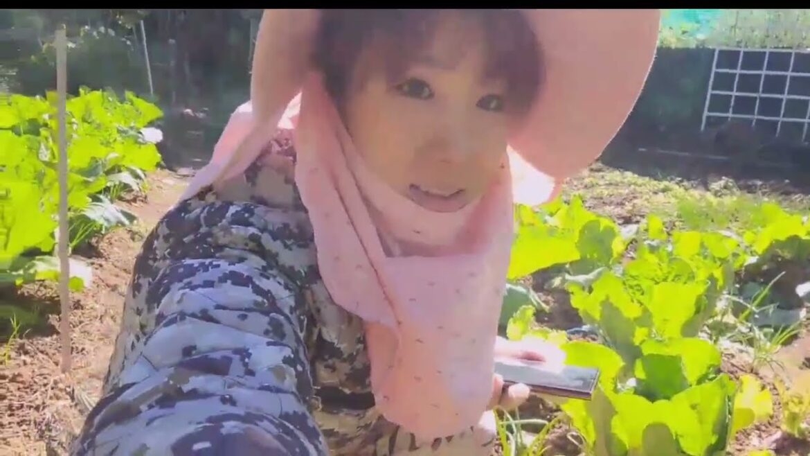 Learn How to Take Care of a Clean Vegetable Garden Day 3