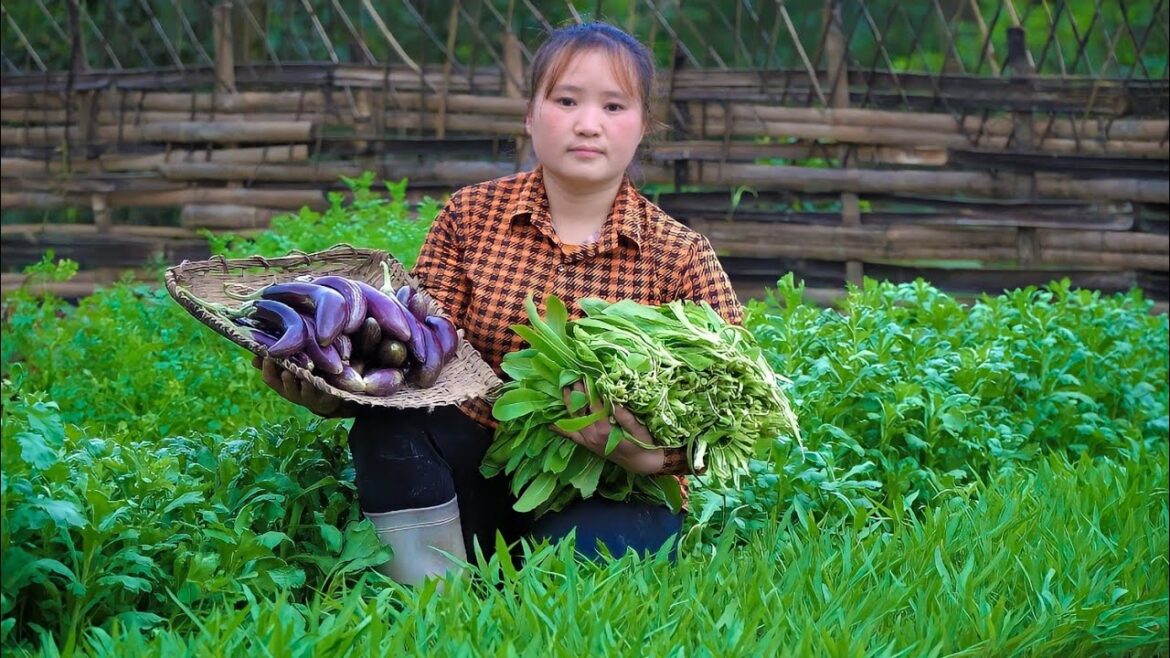 Grow a lot of banana trees, Harvest eggplant & farm garden vegetables Take it for sale Grow a lot of banana trees, Harvest eggplant & farm garden vegetables Take it for sale