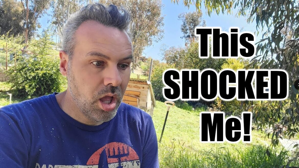 Preparing the Vegetable Garden for Spring Preparing the Vegetable Garden for Spring